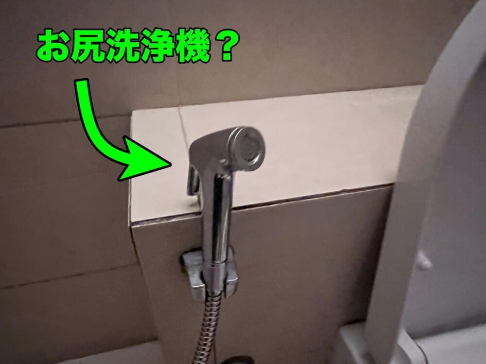 シンガポール　トイレ　汚い　流せる　流すボタン　ウォシュレット　トイレットペーパー