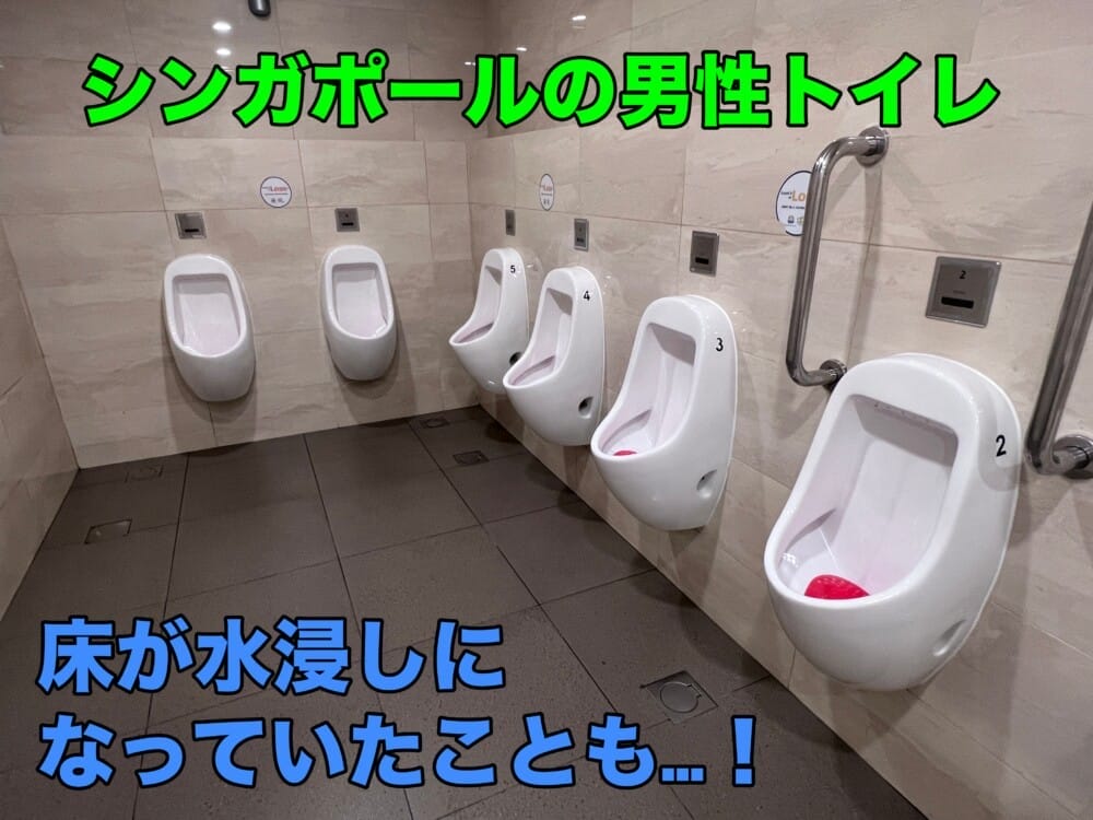 シンガポール　トイレ　汚い　流せる　流すボタン　ウォシュレット　トイレットペーパー