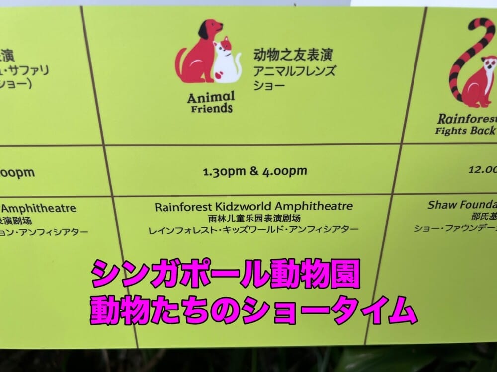 シンガポール動物園　ショータイム　アシカショー